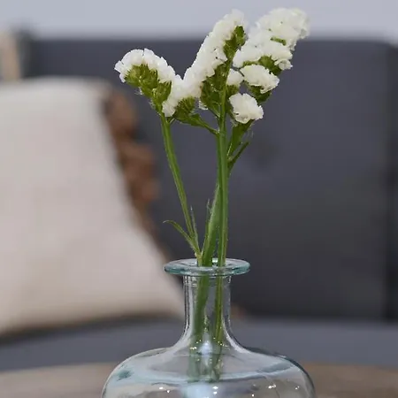 Apartmán A Casa Do Remo Noia