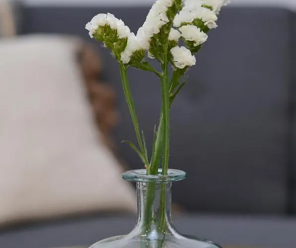 Апартаменты A Casa Do Remo Нойя